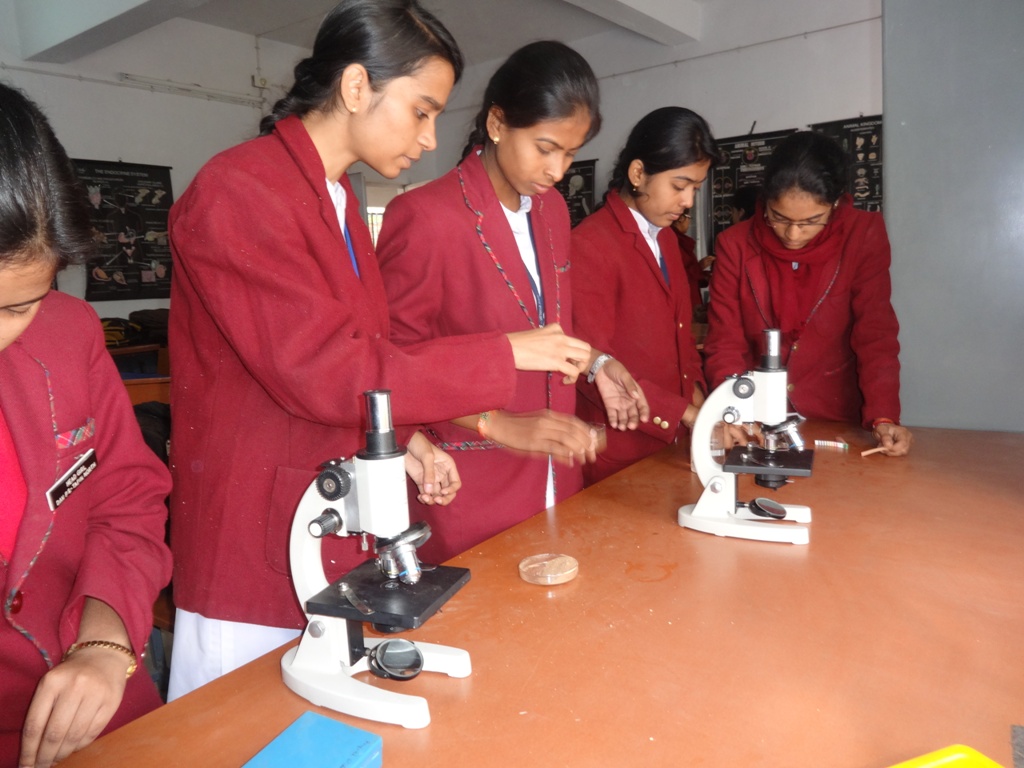 Biology teaching jobs in dammam